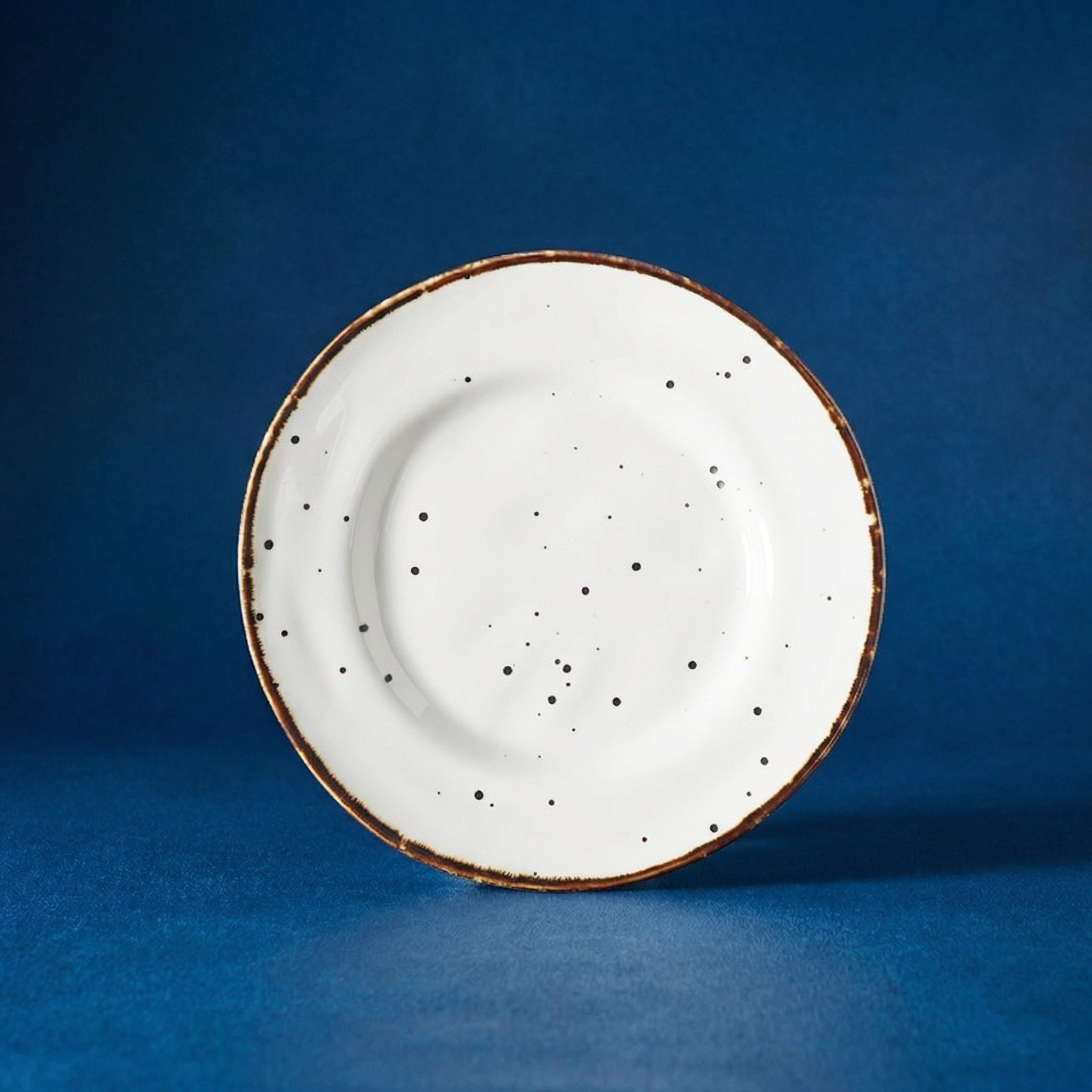 Vintage Speckled Ceramic Plate Set